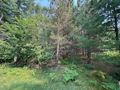 309/310 Deerwood Rd, Minocqua, WI 54548 - photo 4