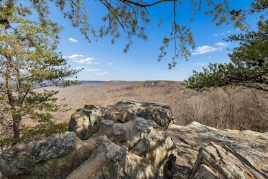 233 Crestview Ln, Sparta, TN 38583 - photo 2