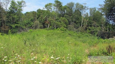 Land: The property has a nice level spot here for