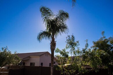 006_IMG_7308a