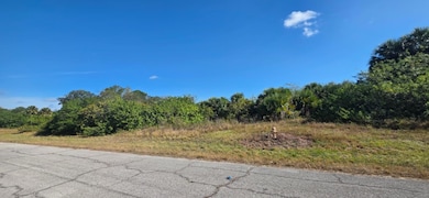 190 Carousel Ave, Fort Denaud, FL 33935 - photo 2