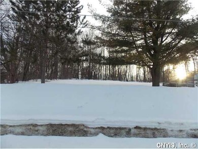 Yard/Garden