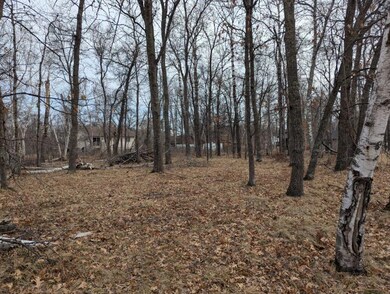 Lot 21 B0 Birch Ln, Breezy Point, MN 56472 - photo 6