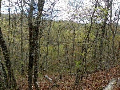 0 Hummingbird Hill Rd unit 26008252, Cowee, NC 28734 - photo 4