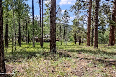 7 N1063, Greer, AZ 85927 - photo 6