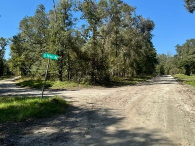 Vac Se Suwannee Ave, Branford, FL 32066 - photo 5