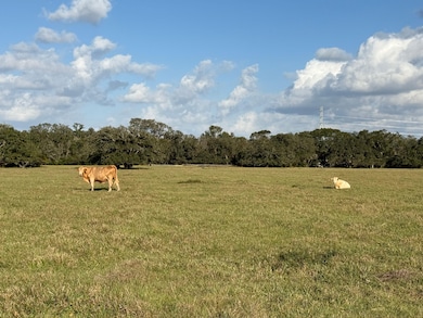 31619 Texas 36, West Columbia, TX 77486 - photo 6