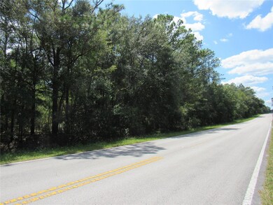 0 SW 54 St unit MFROM663380, Dunnellon, FL 34431 - photo 2