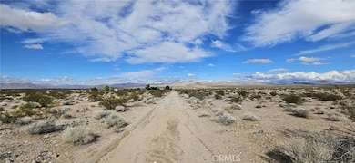 800 Donaldson Rd, Lucerne Valley, CA 92356 - photo 5