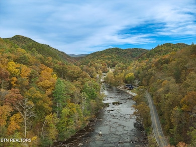 1740 Cherohala Skyway, Tellico Plains, TN 37385 - photo 2