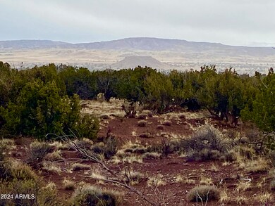 IMG_5694
