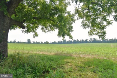 4331 Landisville Rd, Doylestown, PA 18902 - photo 5