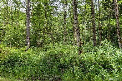 0 32041600101900 unit 1142043, Stanwood, WA 98292 - photo 5