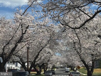 4717 Mercury Dr, Rockville, MD 20853 - photo 4