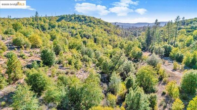 00 Jackass Creek Rd, Groveland, CA 95321 - photo 6