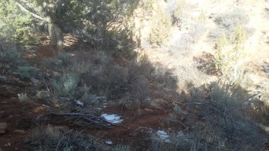 topography to north lot 149