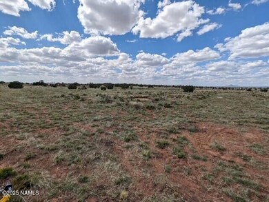 2515 E Wingfield Rd, Valle, AZ 86046 - photo 4