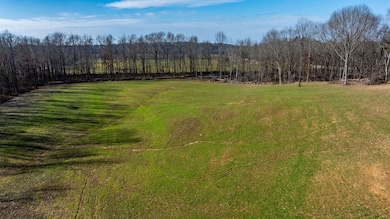 3000 Leonard Oak Rd, Morgantown, KY 42261 - photo 6