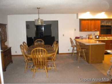 20582 Garner Rd, Virginia, IL 62691 - photo 7