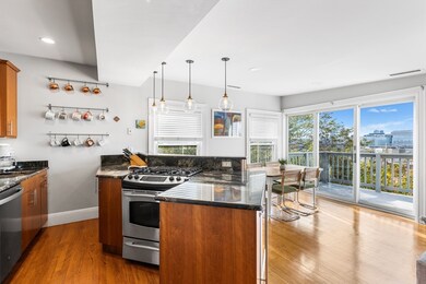 40 Mead St unit 3, Charlestown, MA 02129 - photo 5