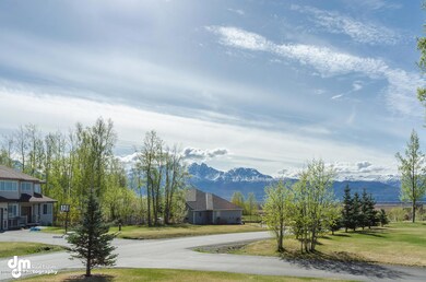 2808 S Charming Valley Lp-large-034-View