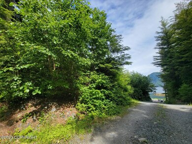 20230712_151803 (Large)