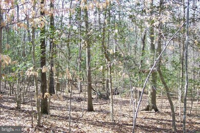 0 Chapmans Landing Rd unit 1000076425, Indian Head, MD 20640 - photo 2