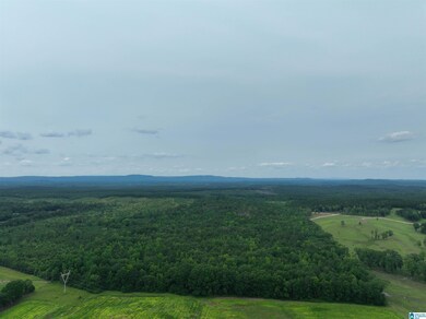 0 Jackson Farm Rd unit 21420738, Wilsonville, AL 35186 - photo 3