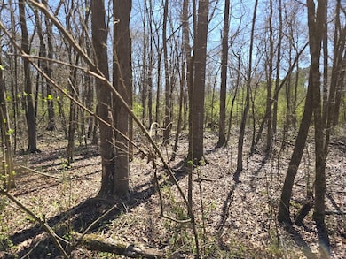 000 Highway 149, Mendenhall, MS 39114 - photo 4