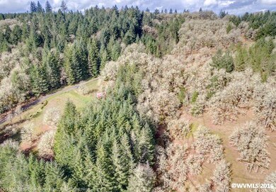 20980 SW Vineyard Ln, Mc Minnville, OR 97128 - photo 5