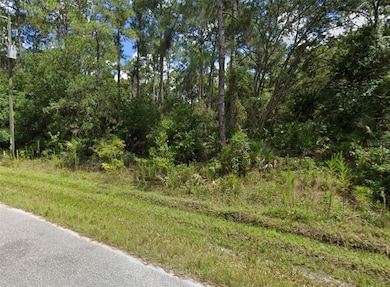Lot 15 Jadol St, North Port, FL 34286 - photo 3