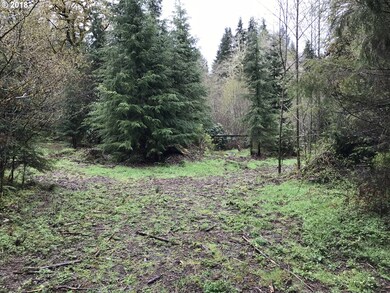 0 Robertson Rd unit 18230980, Longview, WA 98632 - photo 5