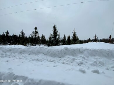 65687 Tomski Ave, Anchor Point, AK 99556 - photo 4