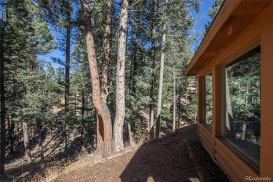 441 Paint Pony Ln, Florissant, CO 80816 - photo 7