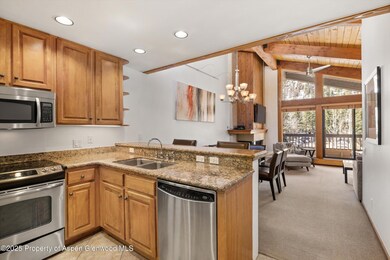 610 S West End St unit D-303, Aspen, CO 81611 - photo 7