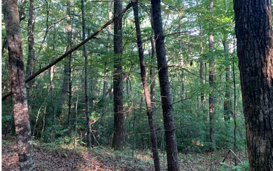 Additional View