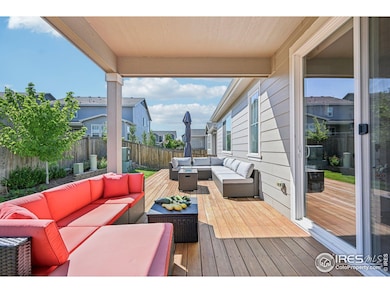 3708 White Rose Loop, Castle Rock, CO 80108 - photo 6