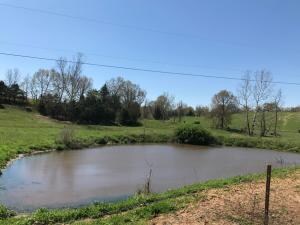 pond