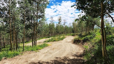 Circle Driveway