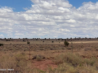 8400 N Terry Trail, Snowflake, AZ 85937 - photo 4