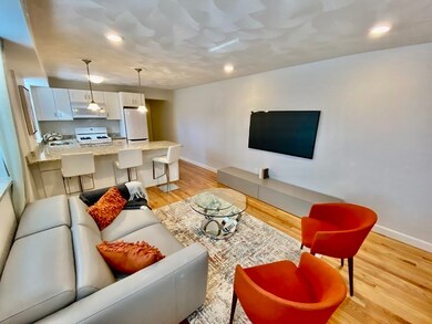 209 Commonwealth Ave unit 1, Chestnut Hill, MA 02467 - photo 2