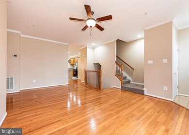 10215 Pembroke Green Place, Columbia, MD 21044 - photo 7