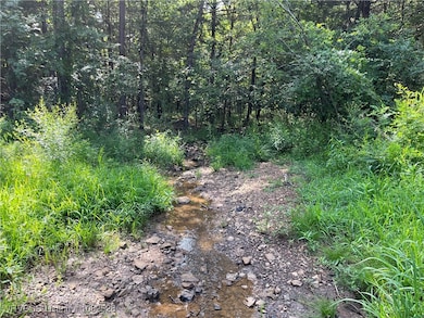 0089 Tract 8 & 9 Goats Bluff Rd, Wister, OK 74966 - photo 2