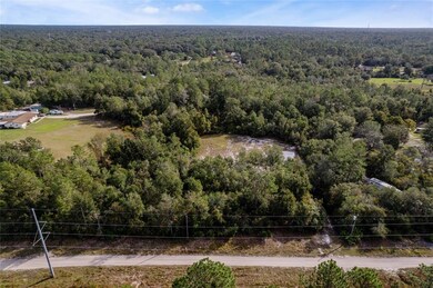 575 Werley Trail Orange City Florida 32763 Over view