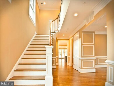 7216 Chestnut St, Chevy Chase, MD 20815 - photo 4