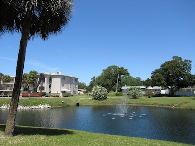 Rear View Pond