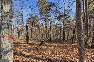 1166 Hunter Dr, Ranger, GA 30734 - photo 6