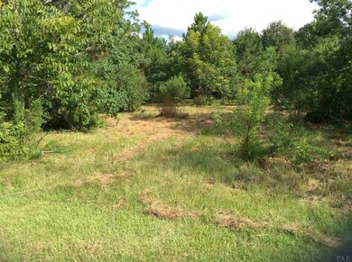 3200 Highway 297a, Cantonment, FL 32533 - photo 3