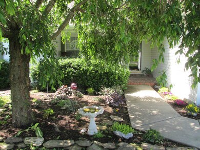front garden