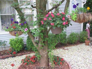 14647 Almanac Dr, Burtonsville, MD 20866 - photo 3